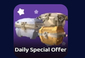 Daily Special Offer
