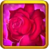 Rise of Kingdoms Ramesses II Skills Nefertaris Companionship